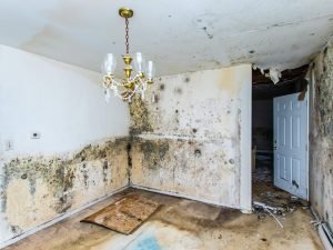 home that needs extensive repairs