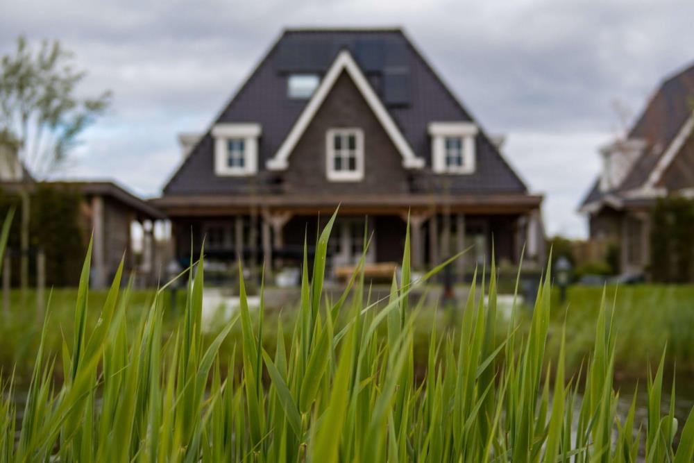 grass and a house