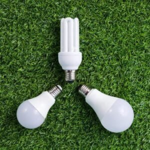 Energy-Efficiency Light Bulbs | 